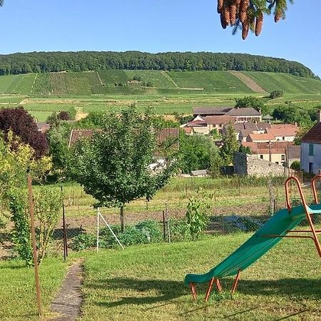 Gite Du Bel Air Festigny (Marne) Exterior foto